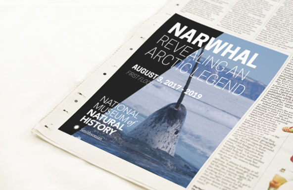 newspaper